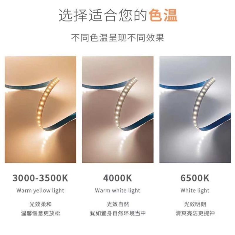 led灯带低压跑马灯12V/24v软灯带户外防水流水灯带流星雨灯条批发