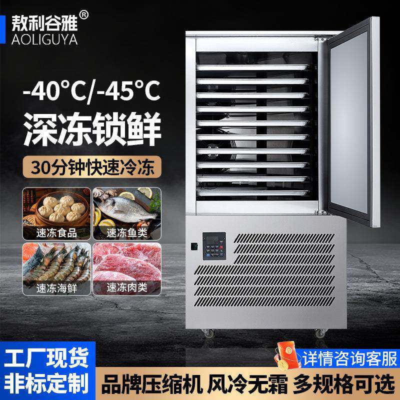 速冻柜商用-40℃~-45℃海鲜生胚包子饺子速冻机商超食堂插盘冰柜