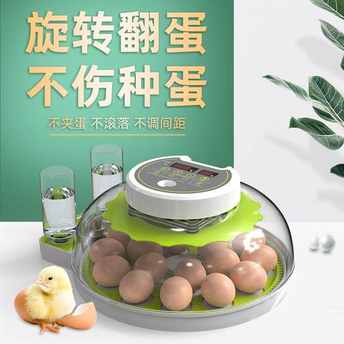 全自动孵化器鸡鸽鸭鹅小子孵蛋类器芦丁鸡鸟专用孵化LTO机型家用