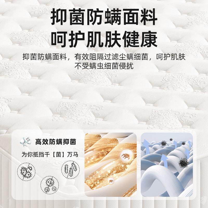 席梦思垫软两硬用cm厚床1.81.5TzenzPN3m家用宿舍经济舒适型立弹