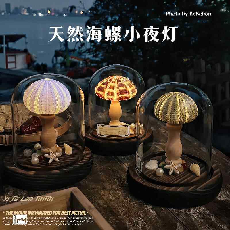 成品海螺小夜灯生日新年礼物贝壳海胆灯手工材料包活动沙龙,节庆用品/礼品,创意/设计灯,淘宝优惠券,粉丝福利购,淘宝优惠卷
