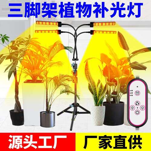 谦润照明LED植物灯80W全光谱植物生长灯智能定时植物补光灯三脚架