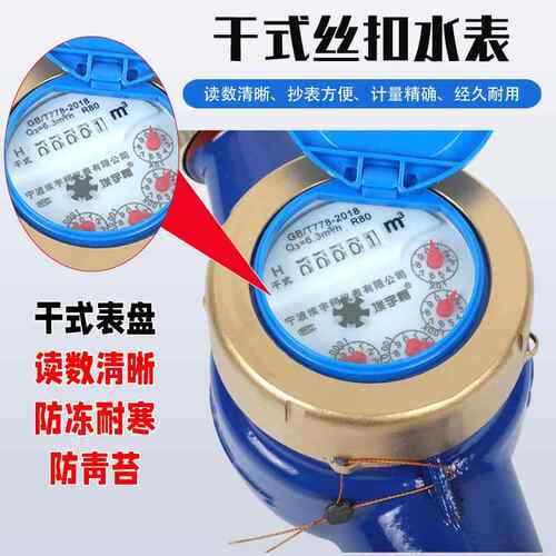 ll干式丝185扣4水表家用6分/1寸自民用水防表出租屋分冻防青苔来