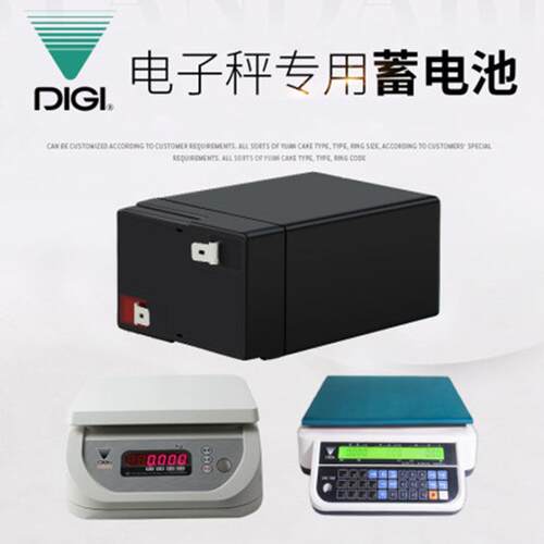 寺冈DS-673系列电子秤配件/可充电电瓶电池/6V4ah/20hr电源蓄电池