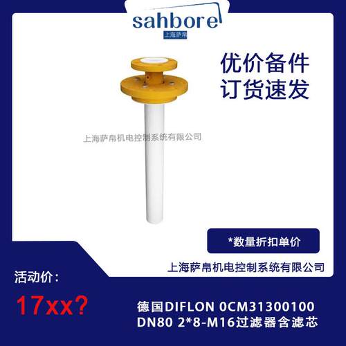 德国DIFLON 0CM31300100 DN80 2*8-M16过滤器含滤芯 - 封面