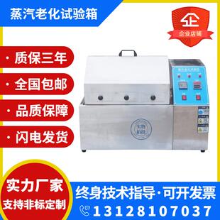 SR蒸汽老化试验机水汽加速老化寿命试验箱电子元件电镀水煮测试仪