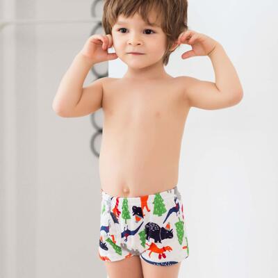 3 Piece Kids Boys Underwear Cartoon Children's Short