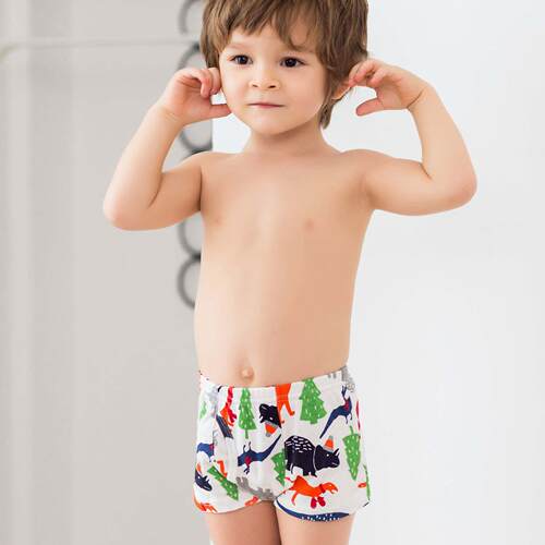 3 Piece Kids Boys Underwear Cartoon Children's Short