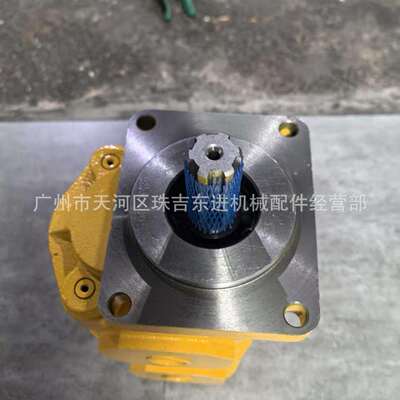 CBNL F550/F550-CTHL齿轮泵 两联