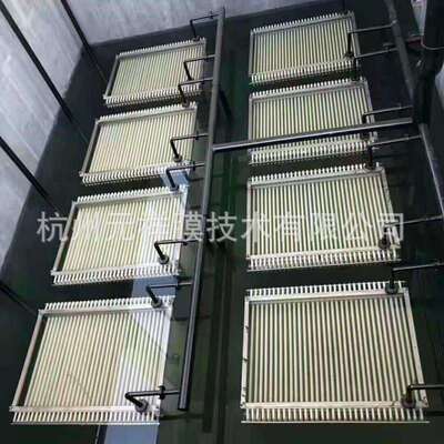 MBR膜组件PVDF-MBR帘式膜丝组件污水设备MBR帘式膜工业供应
