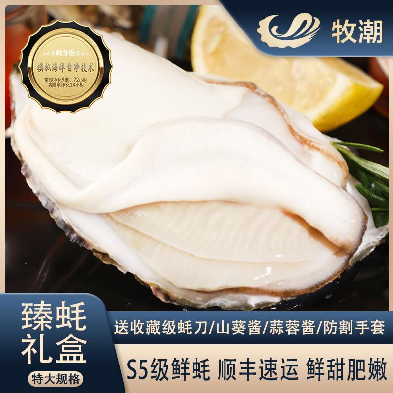 乳山生蚝鲜活刺身海蛎子新鲜牡蛎超大肉送礼顺丰空配8/10/12/16只