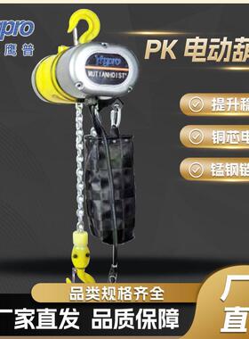 普P鹰K型电机动葫芦3805吨10T起V重机提升环链电614动葫芦吊机