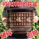 花盆大号特大号超大花盘仿陶瓷30cm紫砂兰花专用家用透气l