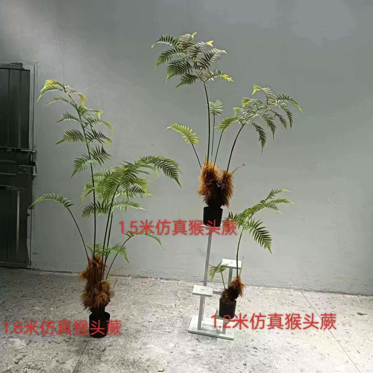 仿真猴头蕨金丝蕨假绿植盆栽蕨类室内禅意植物造景装饰摆件真