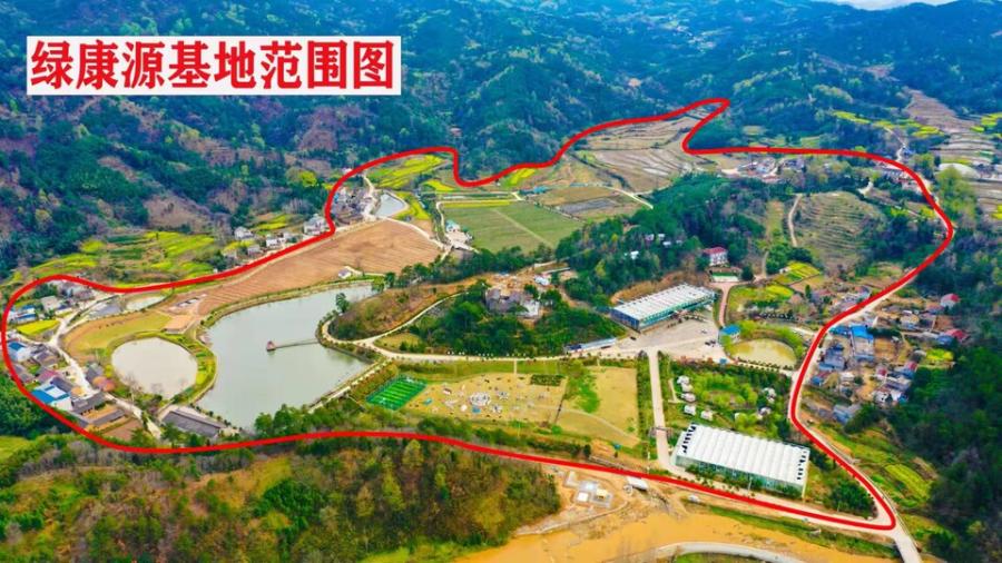 11月22日信阳农业公司房屋建（构）筑物、机器设备和林木网络拍卖公告