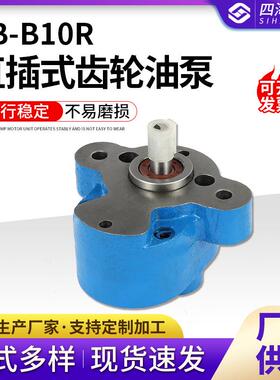 CB-B10R直插式齿轮油泵厂家直供带调压液压油泵