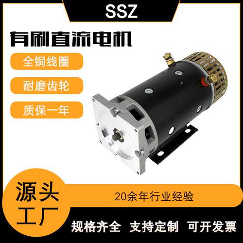 24v48v4w直流有刷铜芯电机汽车尾板电动机堆高车动力单元马达
