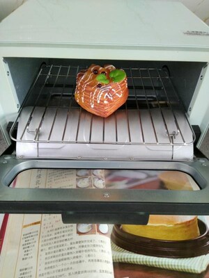 【真相揭秘】考啦蒸烤箱怎么样？说说我的心酸使用史！