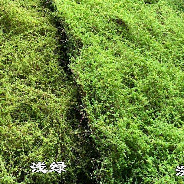 仿地真苔藓花艺皮造草景 绿色苔藓皮花艺软--装假花