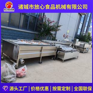 苹果西红柿滤浮清洗机蔬菜水果清洗设备蔬菜杂质清理清洗机