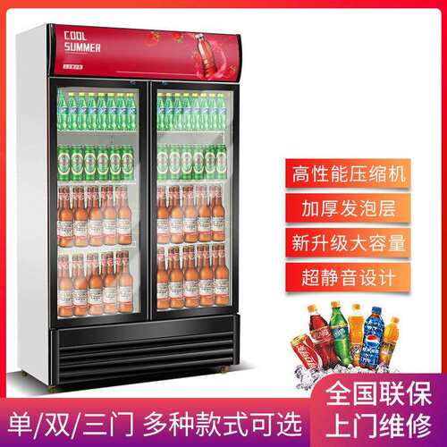 冷藏柜展示柜保鲜柜立式双门铜管商用饮料冷饮蔬菜水果柜冰柜立式