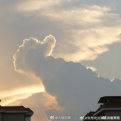 不锈钢阳台柜带搓板304组合洗衣柜怎么样？评判质量太差有依据吗？
