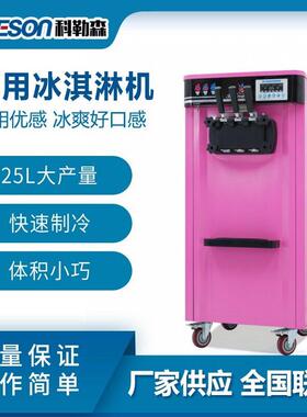 加工定制商用冰淇淋机110V60Hz不锈钢雪糕机圣甜筒机厂家
