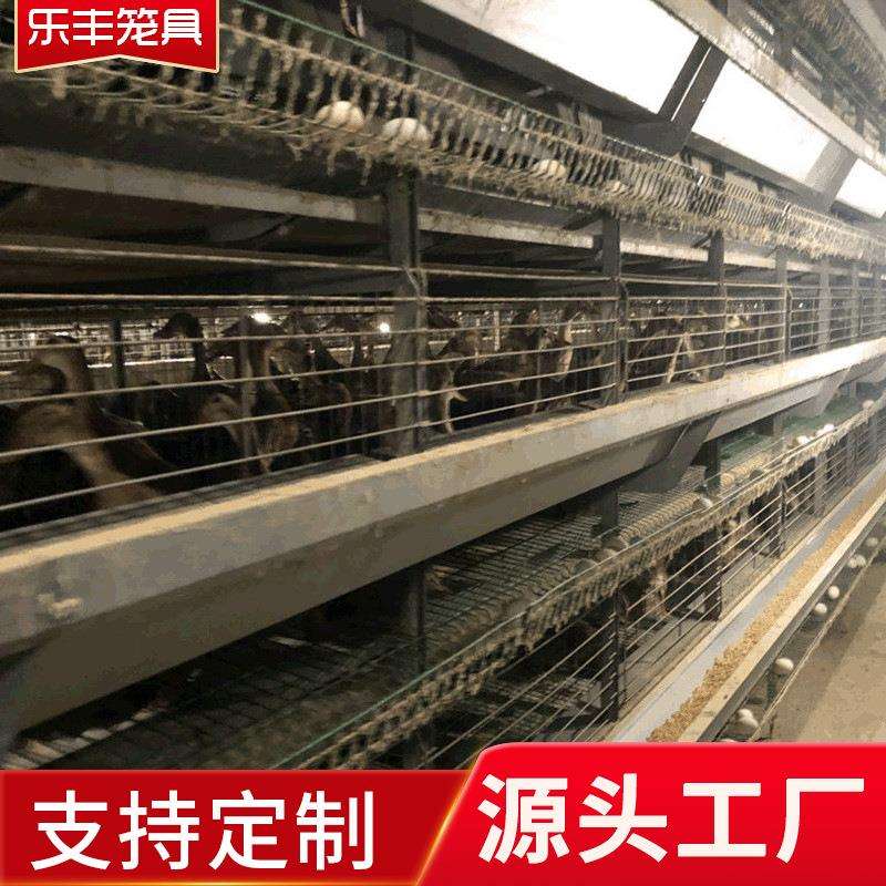 鸭笼养设备料盘式自动清粪三层笼养设备鸭笼养殖设备