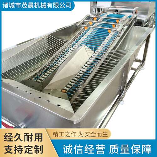 蛋品清洗设备脏鸡蛋鸭蛋清洗机双排大型洗蛋机全自动洗蛋机
