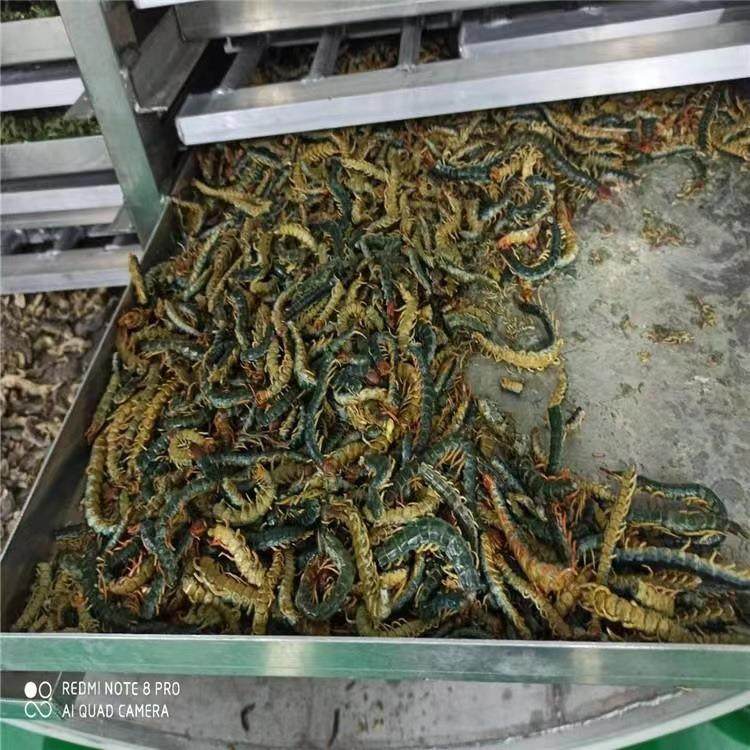 蜈蚣低温干燥机 无花果火龙果真空冻干机 果蔬脆真空冻干设备