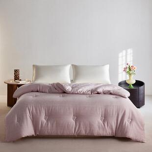 兰精60支天丝棉大提花蚕丝蛋白被芯四季款春秋被轻奢加厚保暖被芯