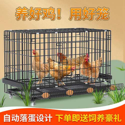 养鸡笼特大号鸡笼子家用自动清粪室外养殖笼鸡舍铁丝网大号鸭鹅笼