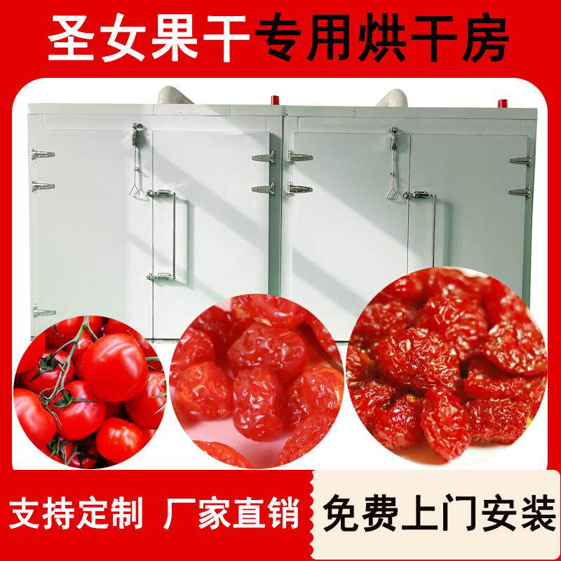 型圣女果烘干机智能控温水果小西红柿烘干设备樱桃番茄烘干房