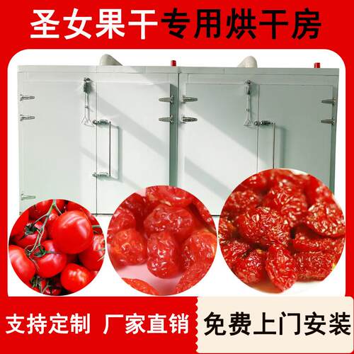 型圣女果烘干机智能控温水果小西红柿烘干设备樱桃番茄烘干房