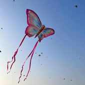 蝴蝶风筝山东潍坊微风易飞大型高级创意可爱儿童大人专用户外卡通