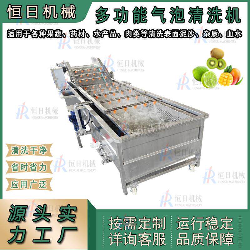 臭氧蔬菜水果清洗设备苹果橙子蓝莓气泡清洗机包装袋食品清洗去污