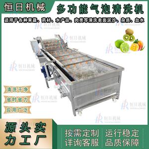 臭氧蔬菜水果清洗设备苹果橙子蓝莓气泡清洗机包装袋食品清洗去污