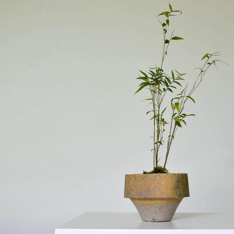 景德镇覆古粗陶竹子花卉花盆桌面透气块根植物盆菖蒲苔藓盆红陶