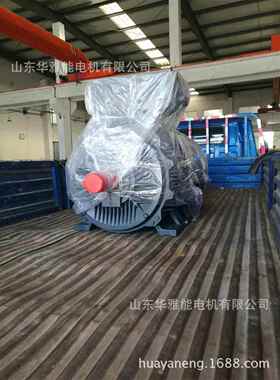 华雅能BM-315S-4-110KW电机替代曲阜金升电机转速4极1490转F级