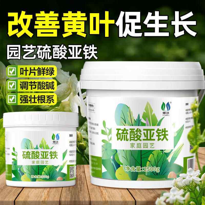 硫酸亚铁喜酸栀子花茶花杜鹃花桂花水溶肥改善黄叶调节酸碱促生长