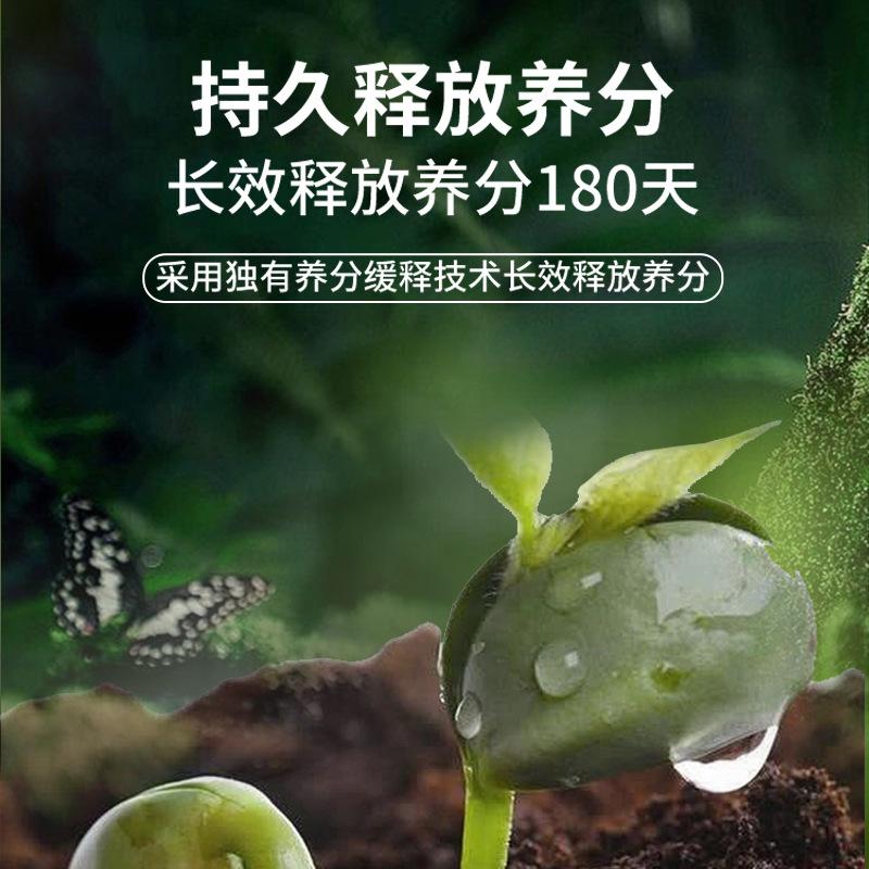 发财树厂家直销代发通用栽培基质