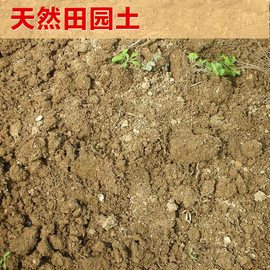 田园土沙土家庭园艺栽花种菜土壤营养，土大包黄土养花土泥土