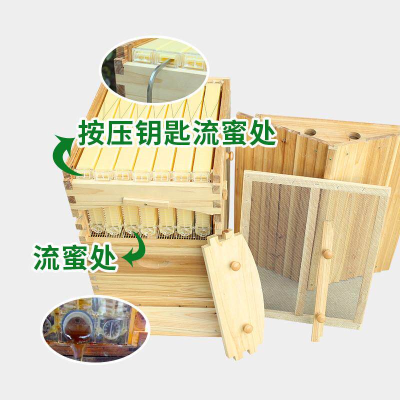 自流蜜蜂箱蜜蜂蜂箱全自动全套蜜蜂别墅自流蜜蜜蜂箱蜜脾蜂巢
