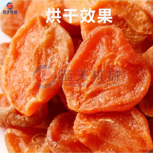 空气能黄杏烘脱机 黄箱式热泵杏干烘LT-HXHGJ烤机 干杏子吊杏干水