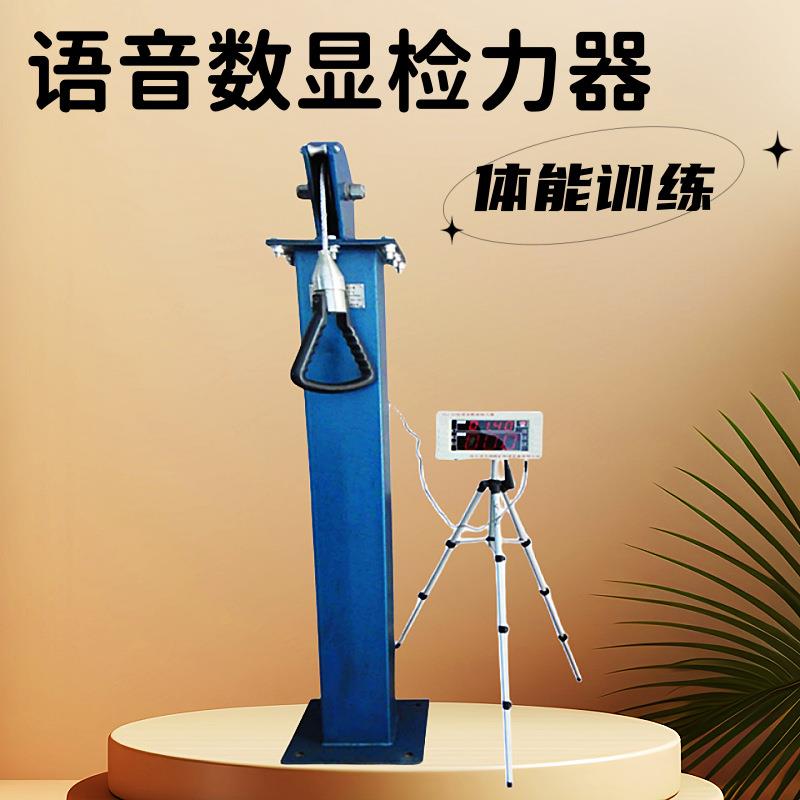 体能训练检力器 语音数显检力器 双人位单人位检力器 智能拉力器