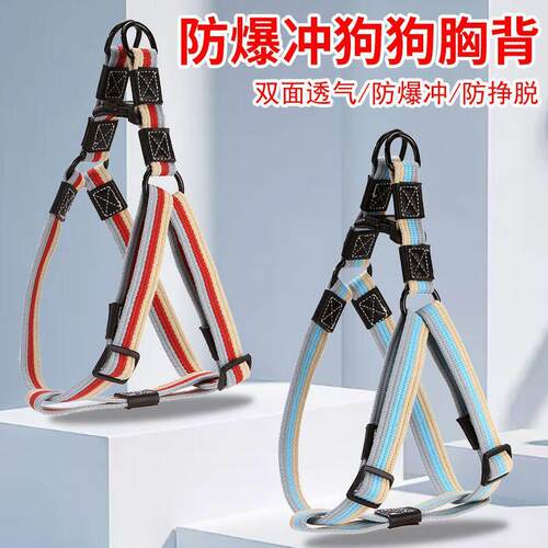 狗皮带马具背心型狗项圈大型狗项圈中型狗散步项圈