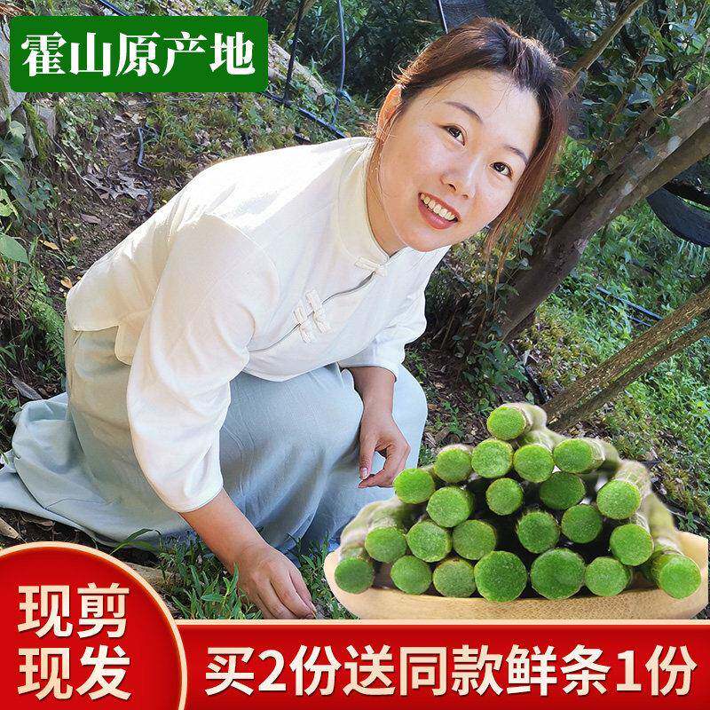 正品安徽霍山新鲜铁皮石斛鲜条现采现发4年石斛鲜条礼盒包装500g