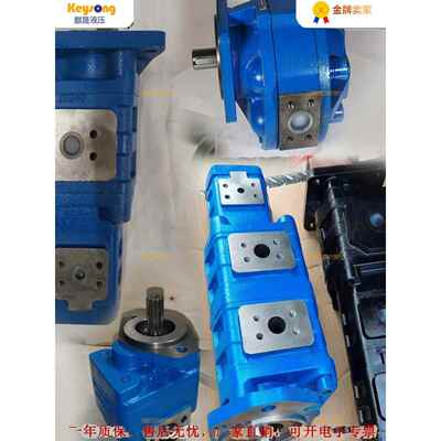 齿轮泵CBGJ3100/125/140/160/180/200/220CBGJ1025/32/40/45/50