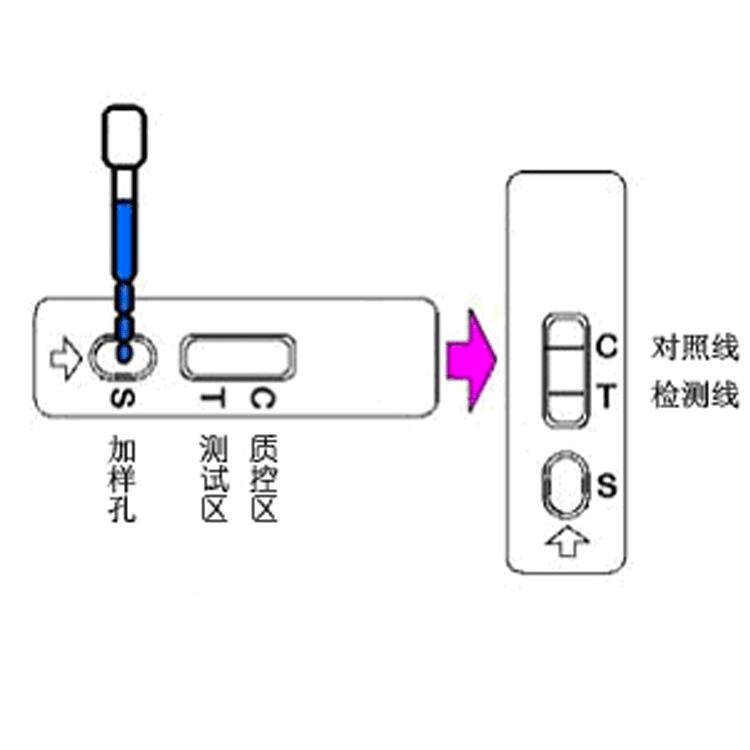 水产品检测卡孔雀石绿氯霉素快检卡呋喃磺胺喹诺酮类快速检测卡 - 实物图