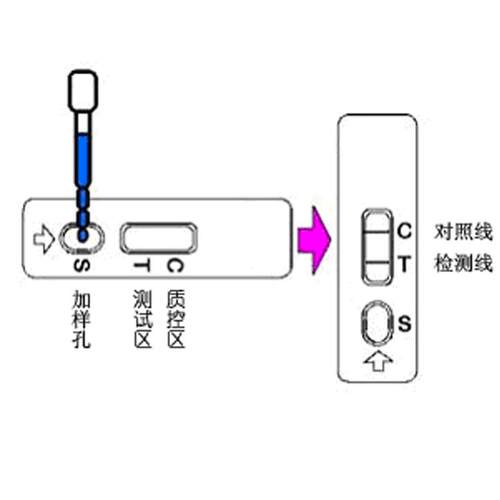 水产品检测卡孔雀石绿氯霉素快检卡呋喃磺胺喹诺酮类快速检测卡